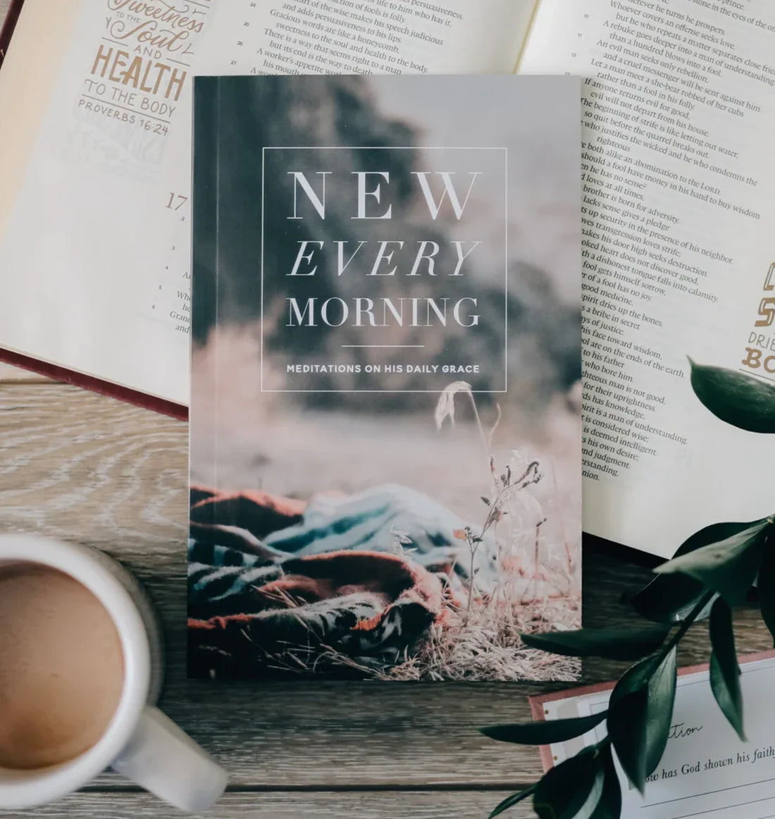 New Every Morning - Meditations On His Daily Grace - The Daily Grace Co.