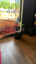 Brat Kindle Charm