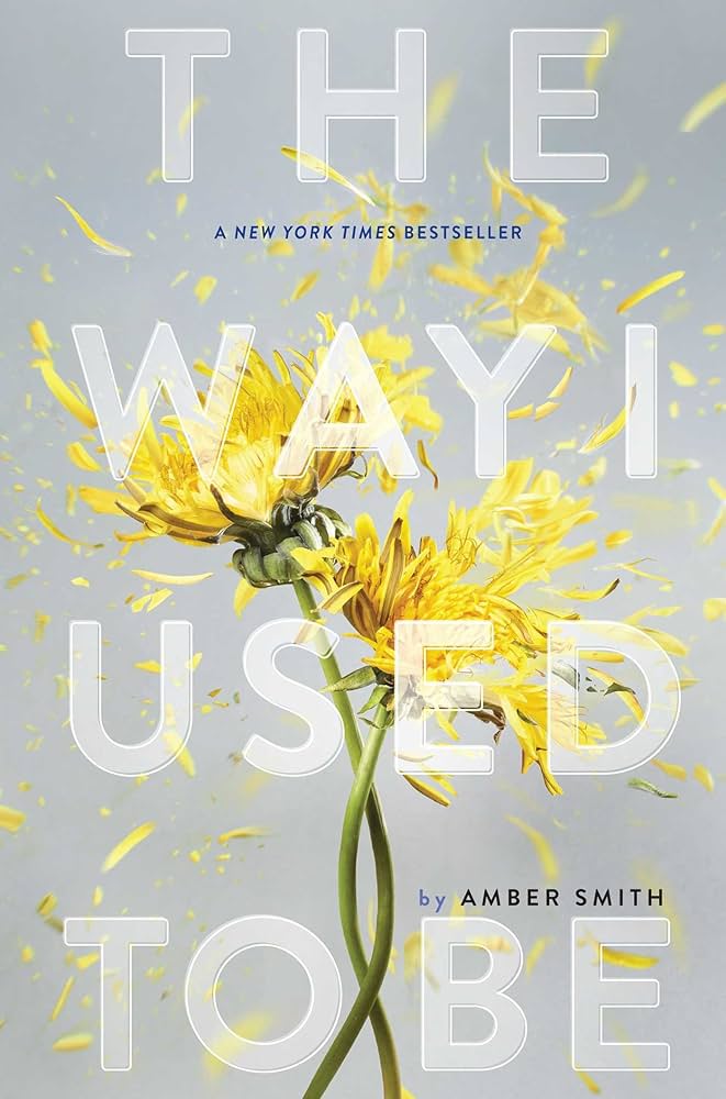The way I used to be by Amber smith