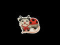 Opossum dressed as ladybug