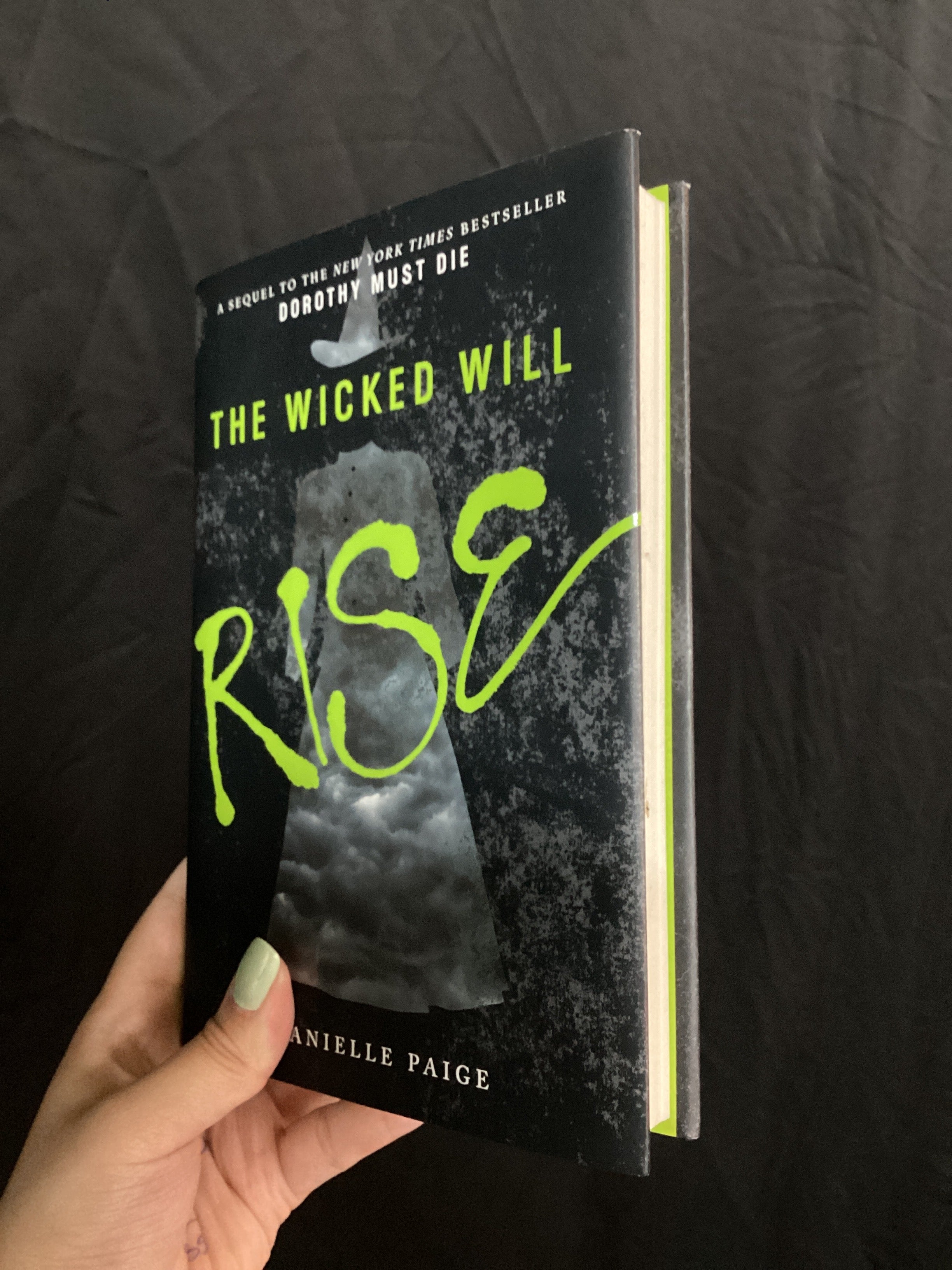 The Wicked Will Rise (Book 2 of Dorothy Must Die) | Danielle Paige | Pre-Loved