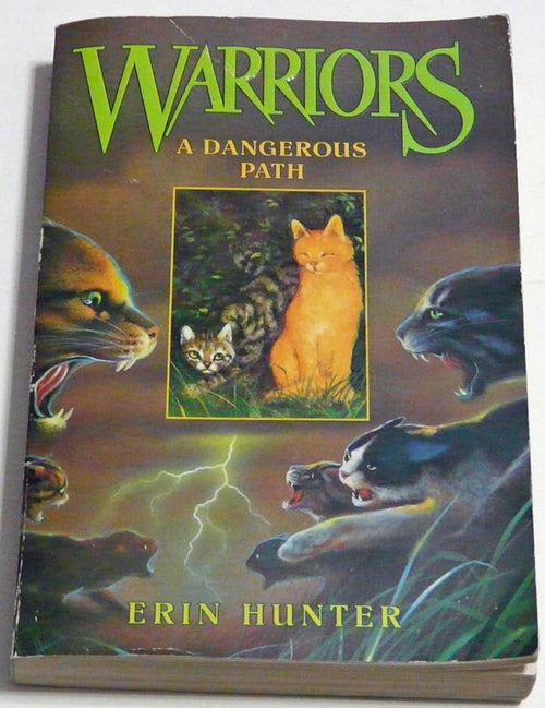 A Dangerous Path (Warriors #5) cover image