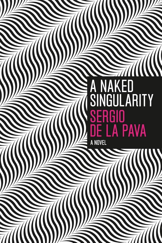 A Naked Singularity: A Novel cover image