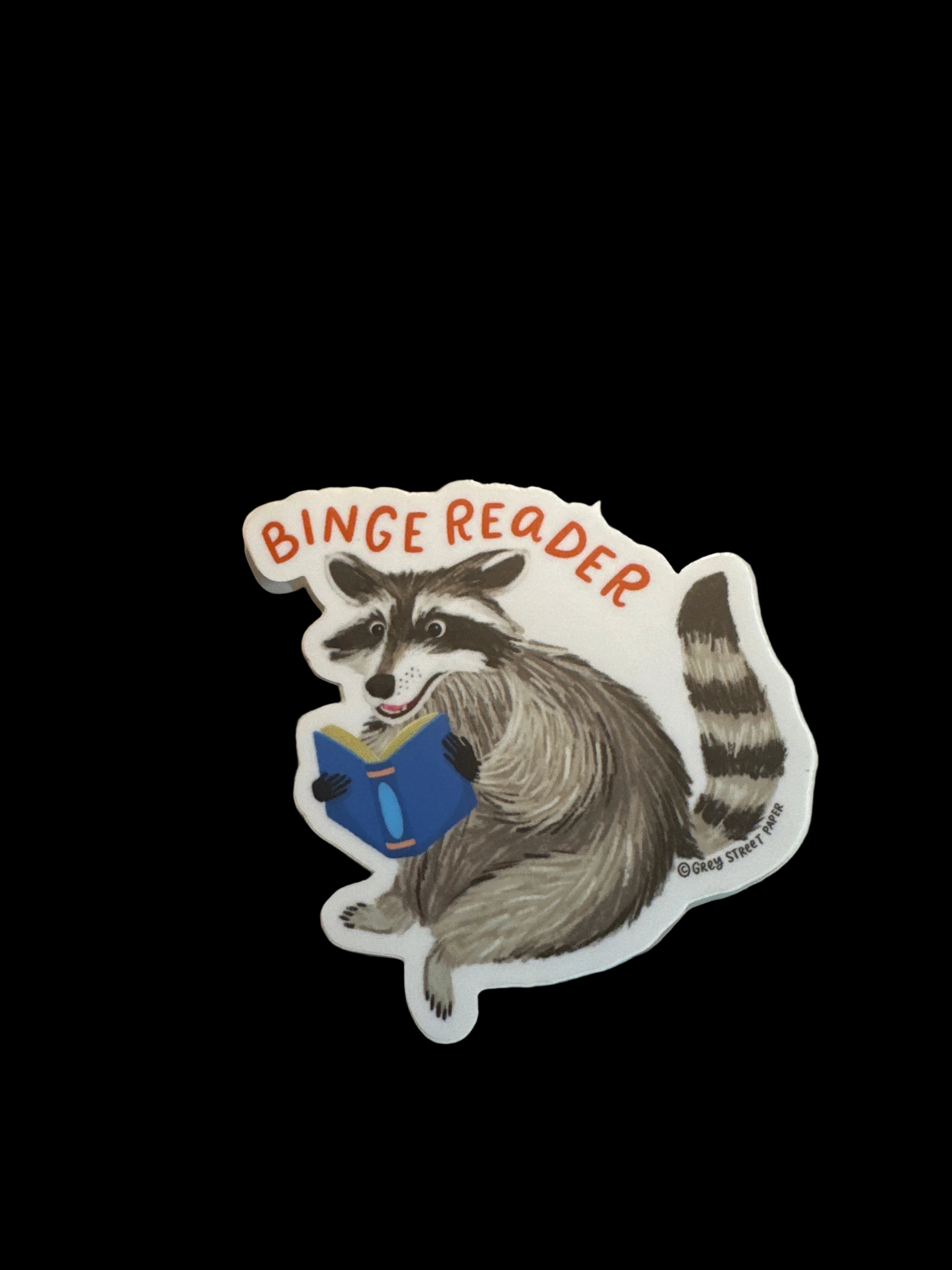 Binge Reader Raccoon Reading Vinyl Sticker