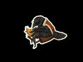 Raven Reading