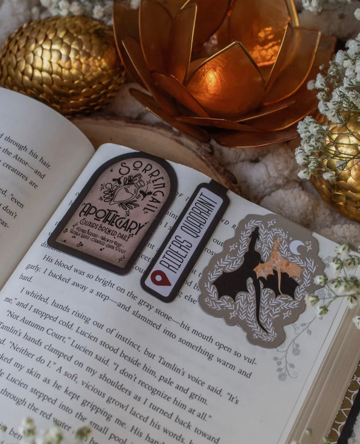 Fourth Wing | Magnetic Bookmarks Set of 3