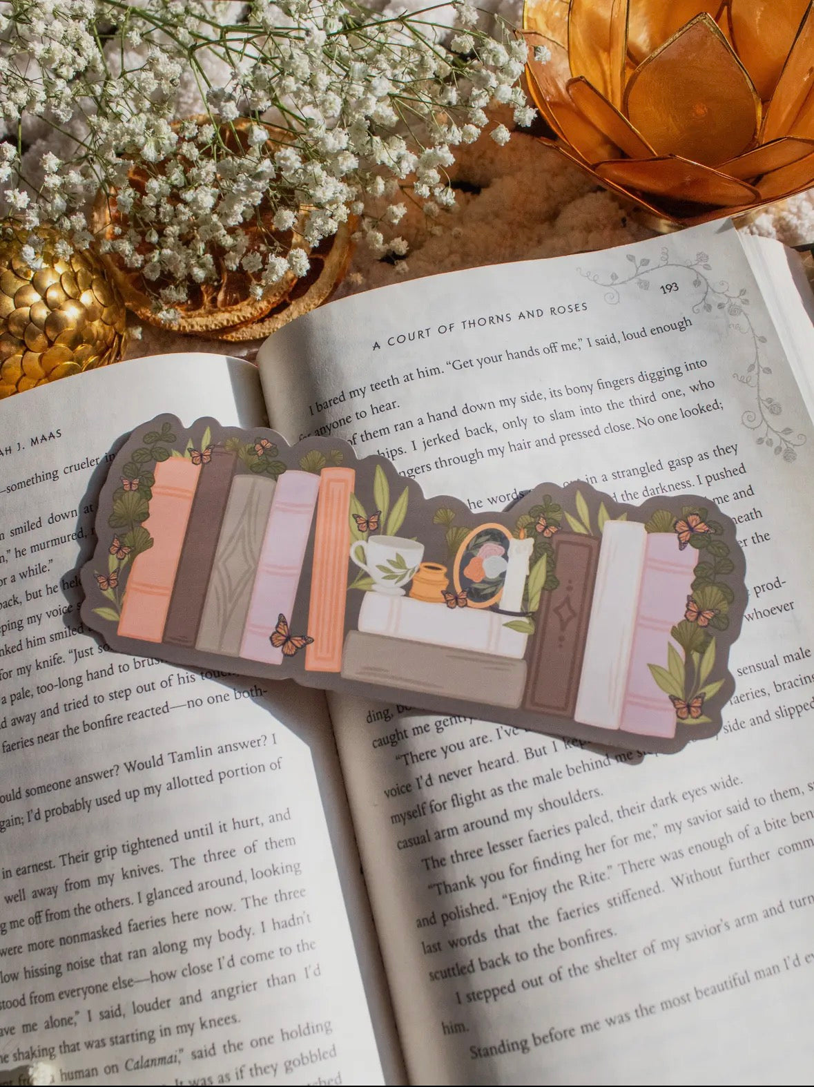 Light Academia Bookshelf Bookmark