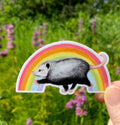 Opossum Rainbow Weatherproof Vinyl Sticker