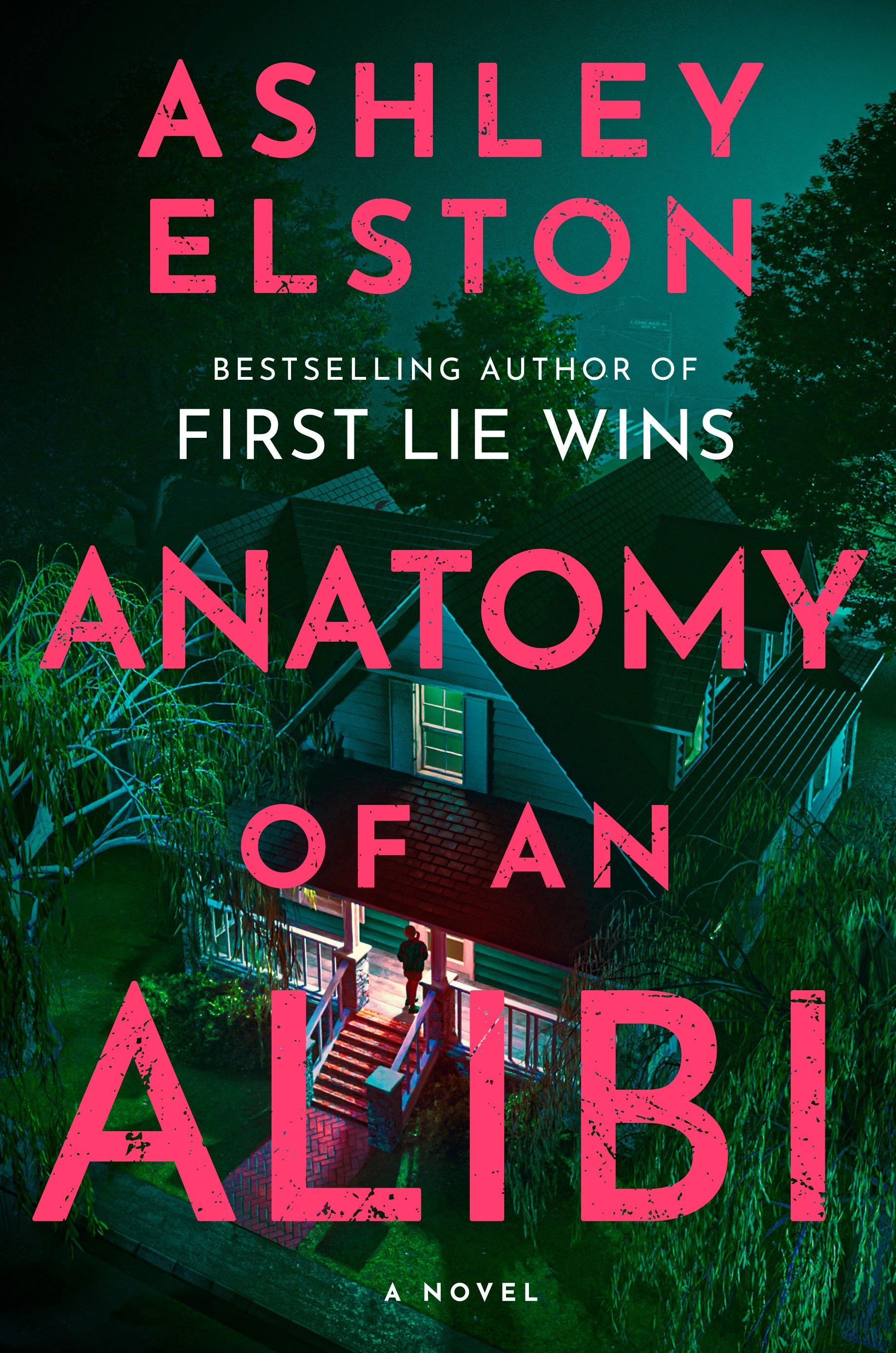 Anatomy of An Alibi by Ashley Elston