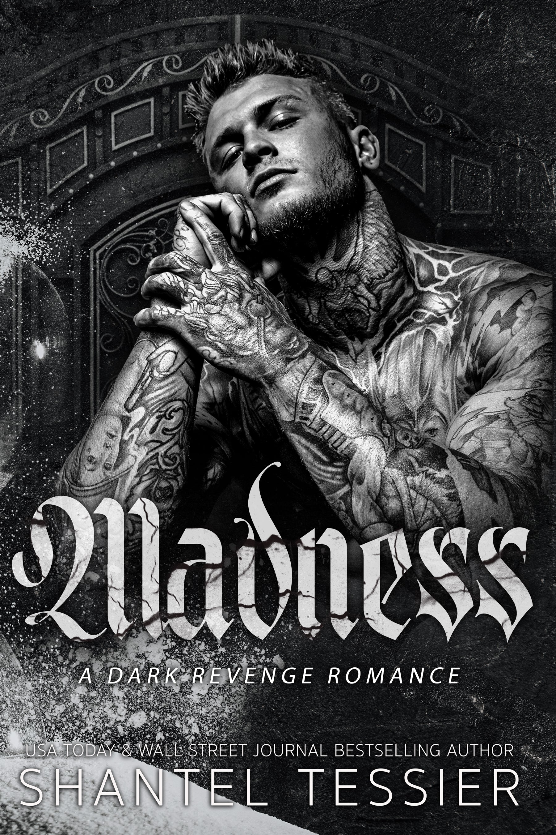 Madness- A Dark Revenge Romance by Shantel Tessier