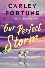 Our Perfect Storm | Carley Fortune