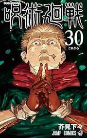 Jujutsu Kaisen 30 | Gege Akutami