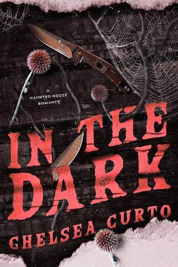 In The Dark • Chelsea Curto