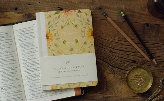 ESV Prayer Journal: 30 Days on Wisdom