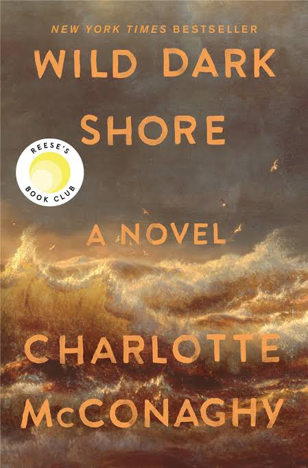 Thriller/Suspense Book Club: Wild Dark Shore