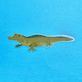 Alligator Bookmark – A Wild Pick for Book Lovers