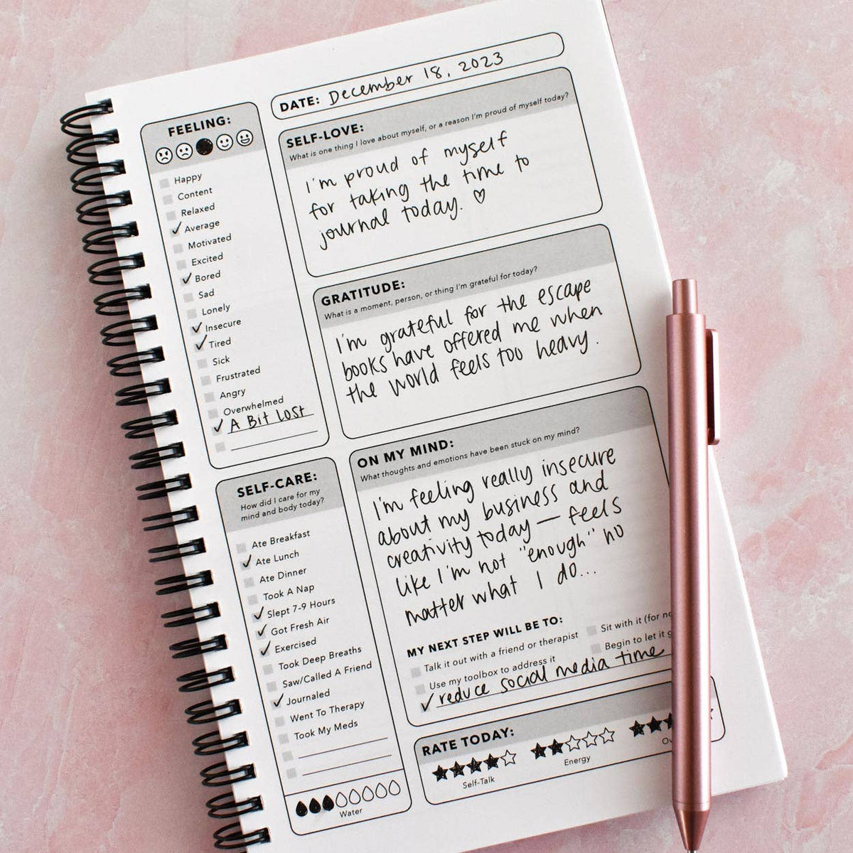 Silly Little Journal Mental Health Journal | Undated